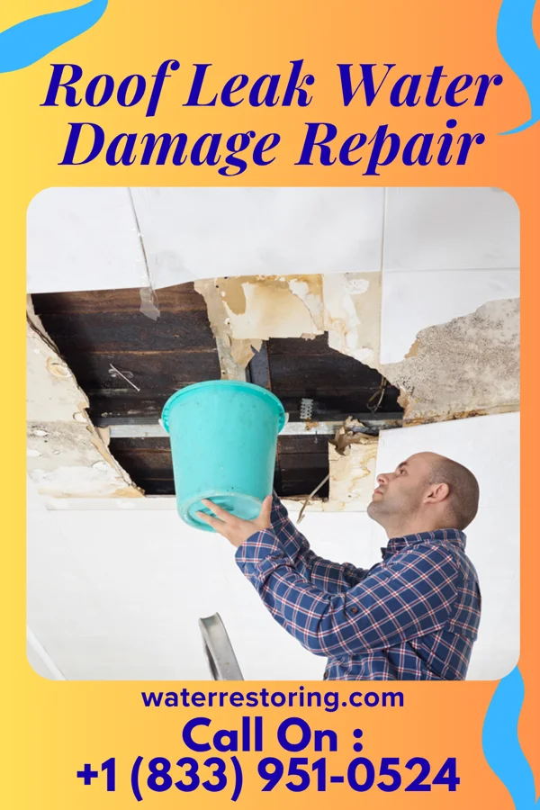 Roof Leak Water Damage Repair in Wautoma, WI