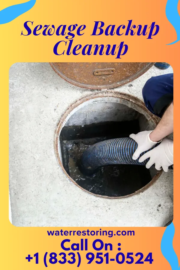 Sewage Backup Cleanup in Wautoma, WI